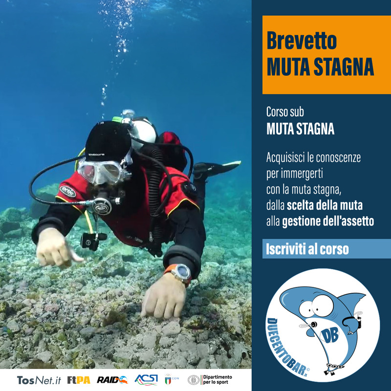 CORSO SUB MUTA STAGNA