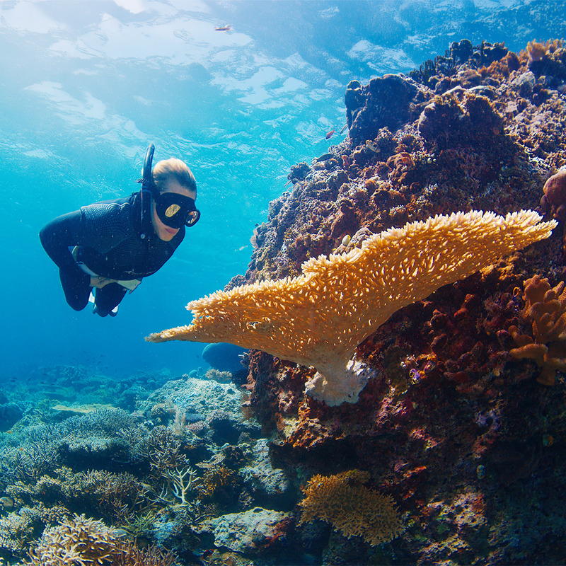 CORSO APNEA 3° LIVELLO