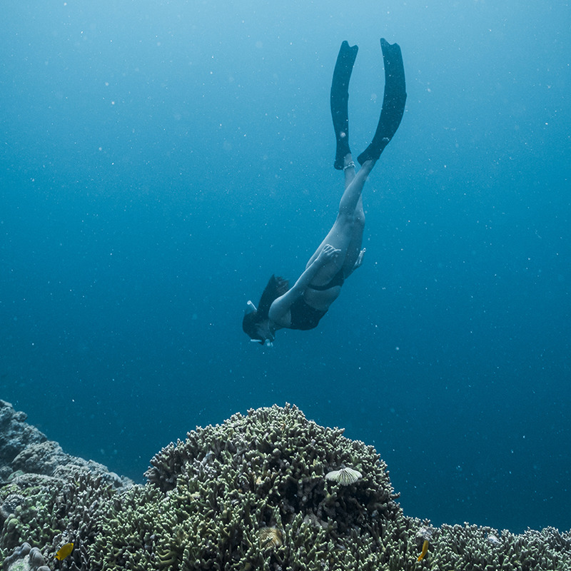 CORSO APNEA 2° LIVELLO