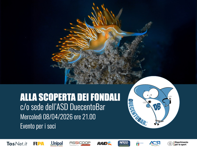 ALLA SCOPERTA DEI FONDALI
