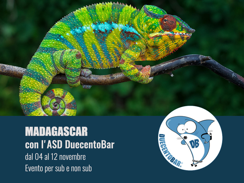 MADAGASCAR